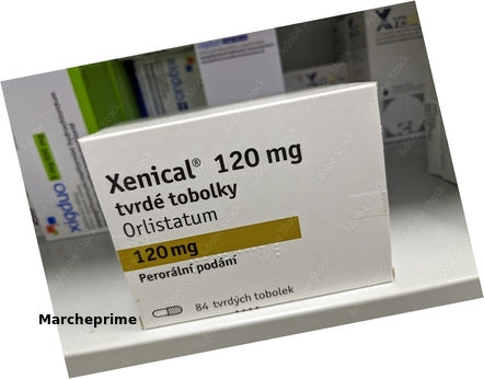 Xenical Orlistat